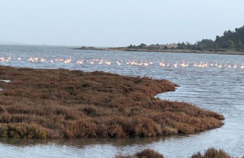 Maison du Midi, 2 Gîtes de charme - Foto 69