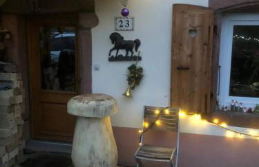 Maison pittoresque à Sainte-Croix-aux-Mines, vue sur la montagne - Foto 80