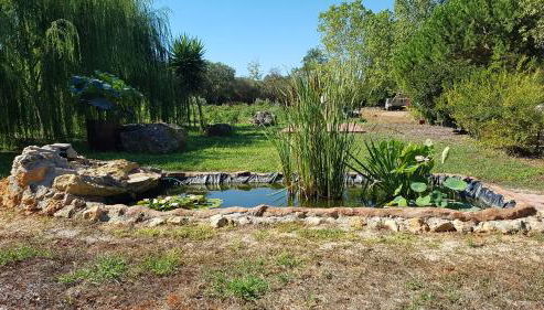 Agriturismo La Barca In Secca - Foto 5, Garden view
