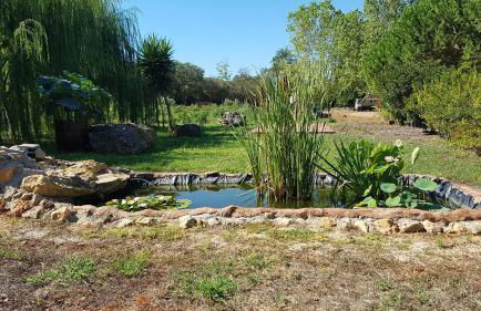 Agriturismo La Barca In Secca - Foto 5