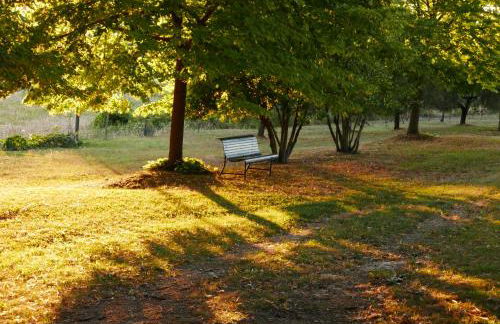 Agriturismo La Pieve - Foto 17