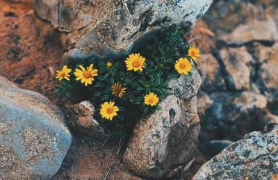 CAN ROMY APPARTEMENT T2F À 20m de la plage de Cala Montgo - Foto 25
