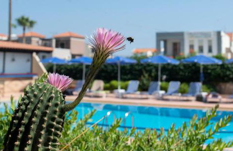 Niriides Hotel - Foto 28