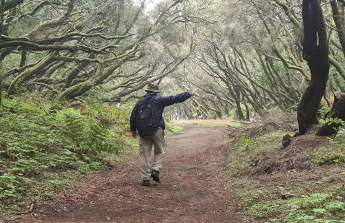 Casa Rural Antigua Escuela II - Foto 15