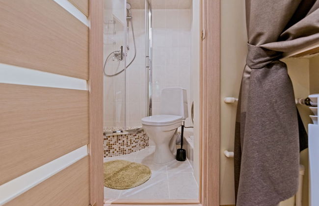 ColorSpb ApartHotel New Holland - Foto 45