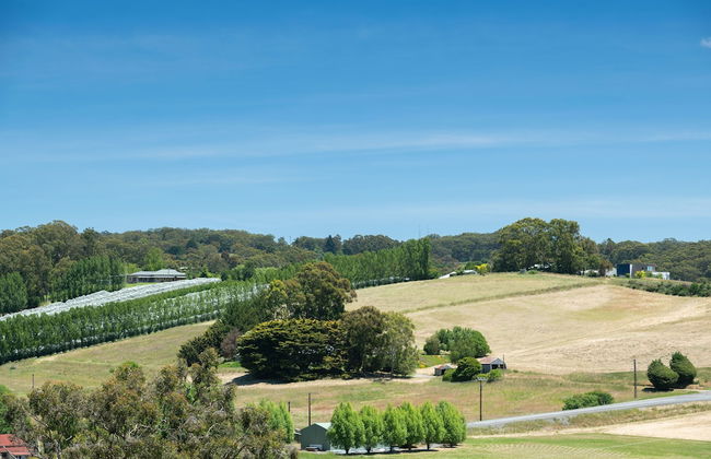 The Other House - Photo 28