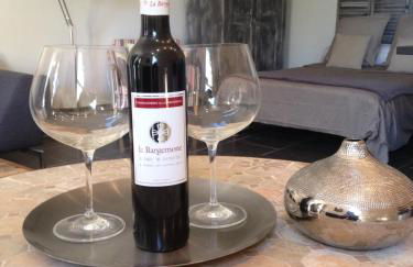 Gite au coeur de la Provence & SPA - Foto 8