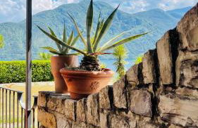 Welkhom Lake view, Swimming pool, tennis court and private parking - Foto 17