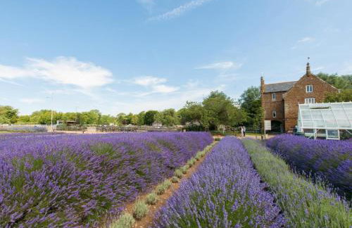 3 Bed in Hunstanton oc-90011 - Foto 25