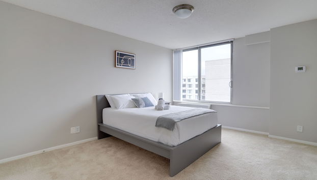 Prime Location Apartment at Crystal City - Foto 5, Habitación