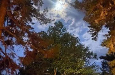 Log Cabin on Saltwater Cove - Foto 18