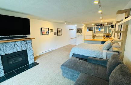 Cute Ski Condo at Base of Mt Alyeska Prime Location - Photo 10