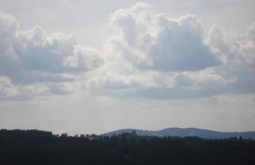 Haus Hönigsgrub - Foto 8