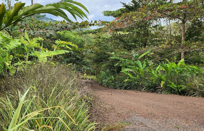 Jaco-carara 3 Bdrm Surrounded by Rainforest With Private Pool - Foto 31