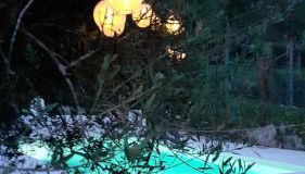 Casa da Laranjeira Turismo Rural by Gerês Casas - Foto 5