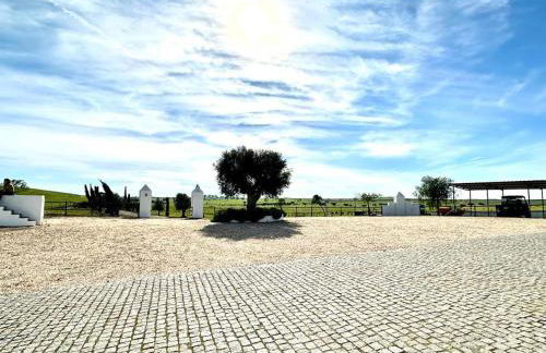 Herdade da Boavista - Foto 62