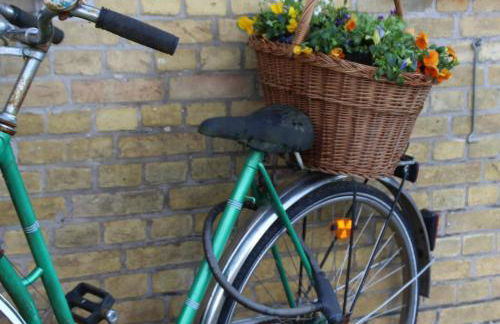 Ferienwohnung Klint 2 - Photo 4