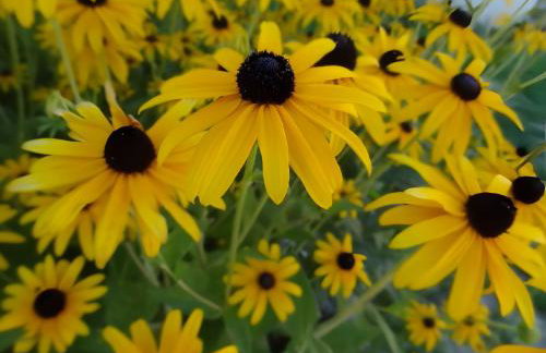 Ferienwohnung Bohnert - Photo 3