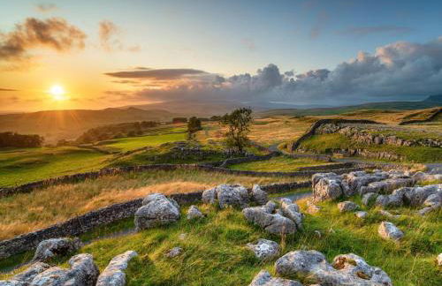 The Artist Studio - Foto 12