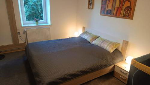 Ferienwohnung zur Wacht - Foto 5