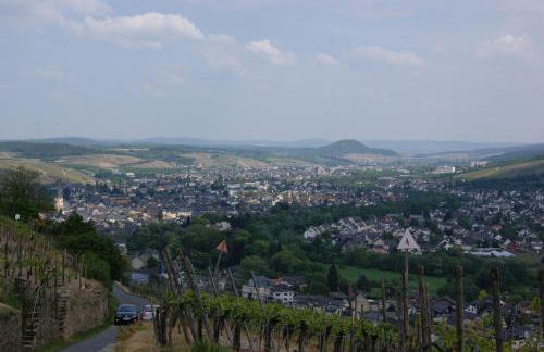 Ferienhaus Nehring - Foto 49