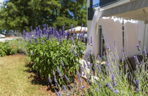 Luxury Villa Četiri Hrasta - Foto 67