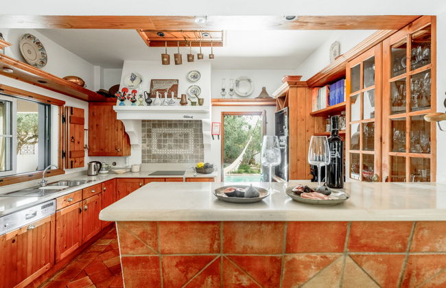 Quintal das Oliveiras - Foto 7