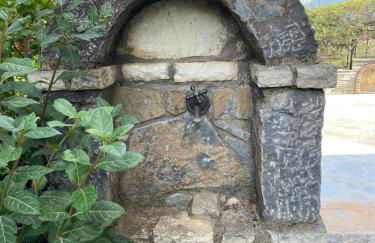 Levidi Horizon - Foto 55