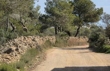 Attico mit Meerblick - Foto 36