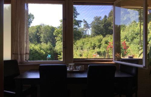 Ferienwohnung Eldorstal 2 - Urlaub mit Hund in Bad Harzburg - Foto 5