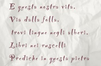 NIDO NEL TUFO - Foto 17