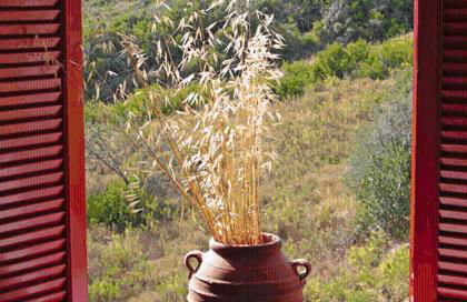 Kyra's Paradise - Foto 21