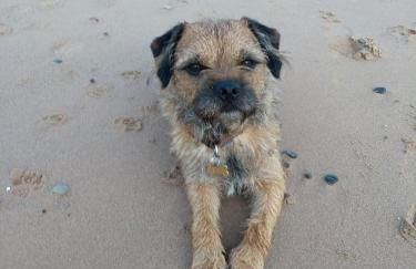 Escape to Anglesey, Dog Friendly - Photo 24