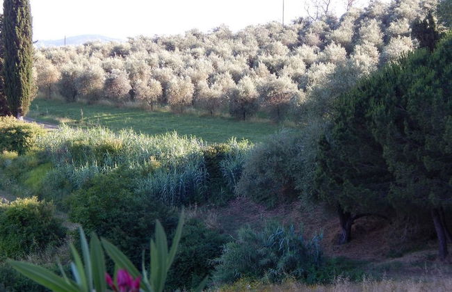 Agriturismo Santo Pietro - Foto 29