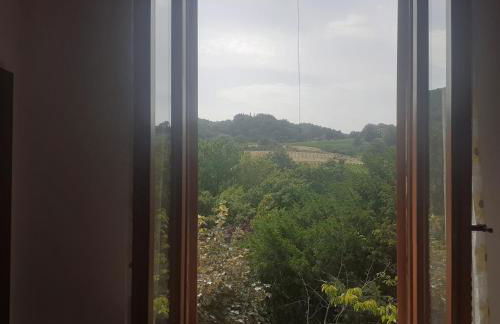 Villa Le Palmine - Foto 12