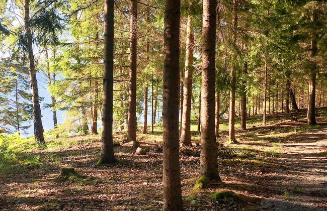 4 Star Holiday Home in Nykvarn - Photo 10