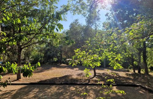 logement entier en pleine nature avec jardin terrasse tennis pétanque piscine - Foto 11