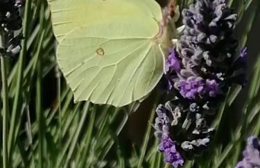 Agriturismo Susanna e Atria - Foto 46