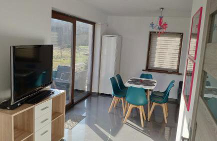 Blu Raj - domy w Sudetach - Foto 55