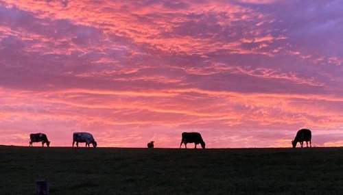 Ferienhaus Sötenicher Mühle - Foto 2