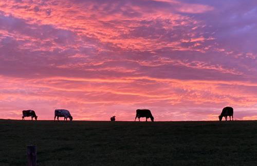 Ferienhaus Sötenicher Mühle - Photo 2