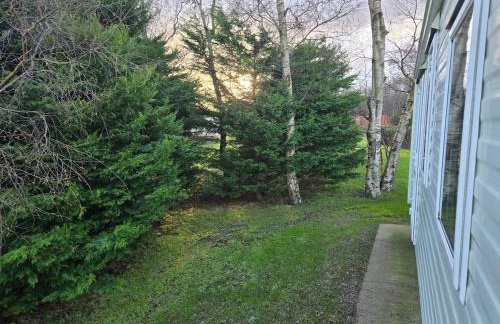 Elf Wood Lodge - Swimming Spa, Sky Sports, Tennis, Hadrian's Wall listing - Foto 52