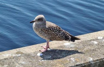 Sandkorn 1 - Foto 13