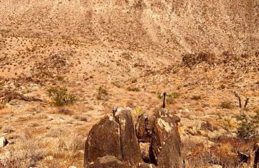 Casa Agave: Comfy Joshua Tree Cottage With Free Breakfast Bar - Foto 28