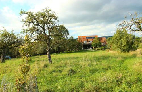 Hof Sinnenberg - Foto 10