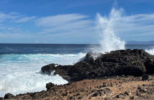 Parasol - Finca Tabaiba by TOR - Foto 74
