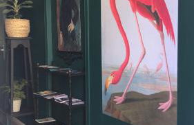 3DALIPHARD - Foto 41