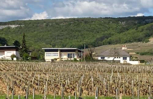 La Maison Fonteny, Gevrey Chambertin - Foto 36