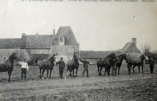 Manoir du Bois Joly - Gîte du Fournil - Foto 50