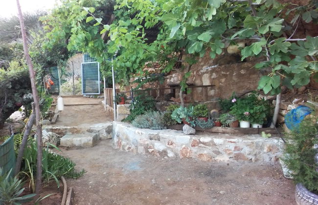 2 Annexed Apartments -private Place to Swim-large Terrace- Unlimited View - Foto 6